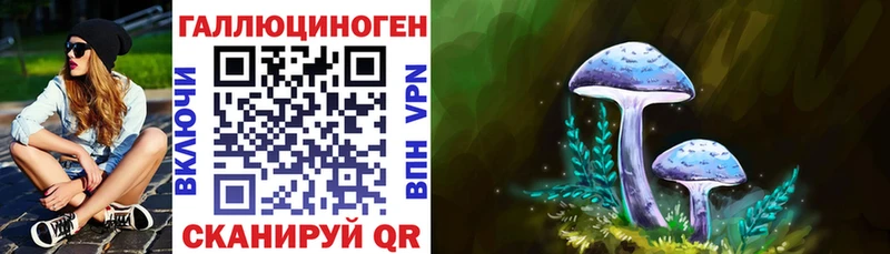 Галлюциногенные грибы Cubensis  мега как зайти  Энем 